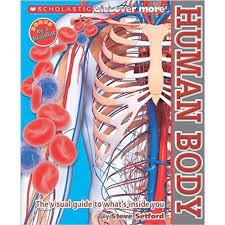 HUMAN BODY