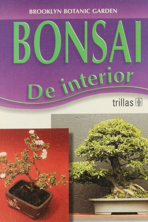BONSAI DE INTERIORES