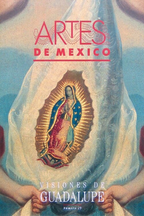 VISIONES DE GUADALUPE NO.29