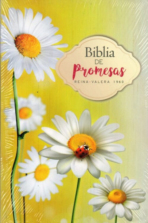 BIBLIA DE PROMESAS- ECONOMICA-RUSTICA